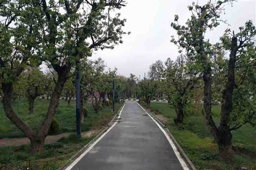 نمایندگی بوش در جهانشهر کرج