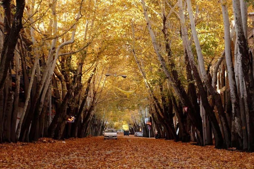 نمایندگی بوش در باغستان کرج
